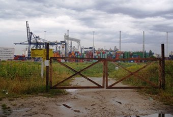 Wharf „Nabrzeże Bułgarskie”, Gdynia